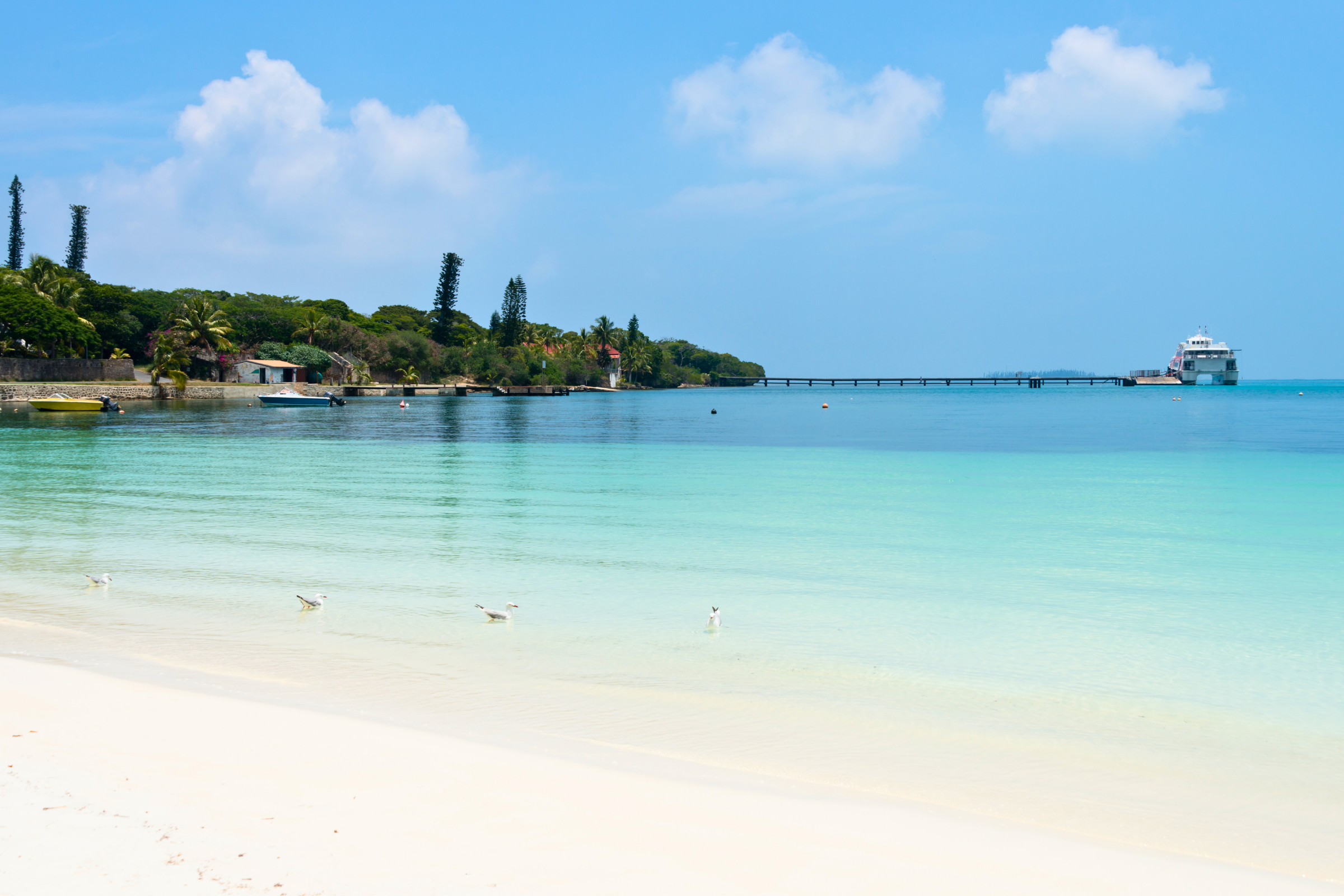 79 kuto bay, isle des pins.webp